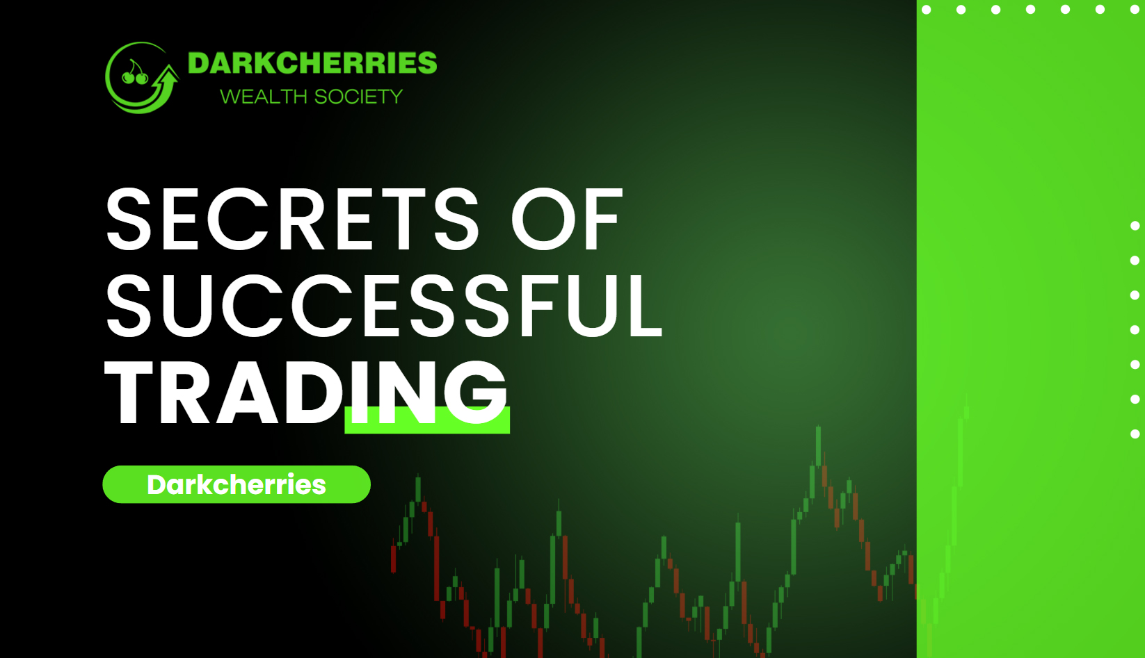 Darkcherries Wealth Society
